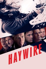 Haywire (2012)