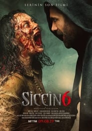 Siccin 6 (2019)