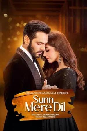 Sunn Mere Dil (2024)